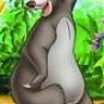 balu-der-baer