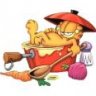 garfield66