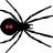 Schwarze Witwe